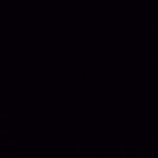 Profile Picture of Tanner Moody (@tannermoody6912) on Youtube