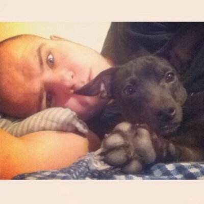 Profile Picture of Daniel Kilburn (@Daniel002012) on Twitter