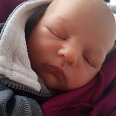 Profile Picture of Christopher Evert (@christopherevert) on Tiktok