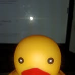 Profile Picture of Joel Parra (@joel.parra.296031) on Facebook