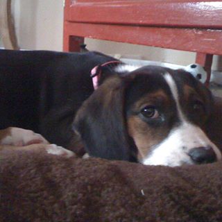 Profile Picture of Gracie Roesner (@gracie.roesner) on Facebook