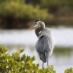 Profile Picture of Brian Hammersley (@bham2931) on Instagram