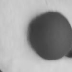 Profile Picture of Chase McCain (@undercover_beast_mode) on Instagram