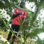 Profile Picture of Joseph Tiger (@Joseph-Tiger) on Facebook