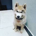 Profile Picture of Tommy Ramos (@reynaldo.ramos.961993) on Instagram