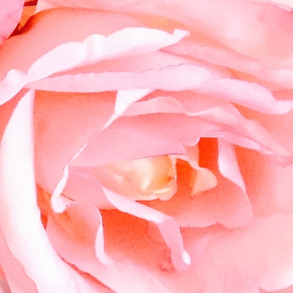 Profile Picture of K Vaneck (@gio24) on Poshmark