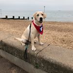 Profile Picture of Sheila Haylett (@haylettsheila) on Instagram