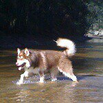 Profile Picture of Paul.M (@paul_mcauliffe) on Instagram