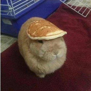 Profile Picture of Kein Name (@crimegaming) on Myspace