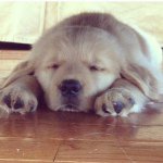 Anne Bailey - Instagram Profile Picture of Anne Bailey (@annemccaslin) on Instagram