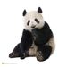 Profile Picture of jim tang (@jimt2330) on Pinterest