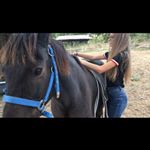 Profile Picture of Mouchou,black,fleurette (@plus_que_des_poneys) on Instagram