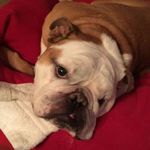 Profile Picture of Tyler Beazley Kilpatrick (@amtbk209) on Instagram