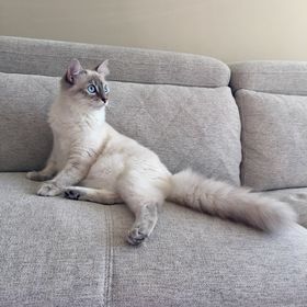 Craig Reeves - Pinterest Profile Picture of Craig Reeves (@cbreeves2000) on Pinterest