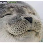 Profile Picture of 張劭齊 (@ckmg17th_jimmy__seal) on Instagram