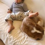 Profile Picture of Rusk (@leoandrusk) on Instagram