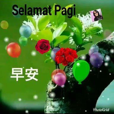 Profile Picture of Harry Pondang (@HarrysOetama2) on Twitter