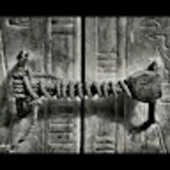 Profile Picture of Daniel Wortman (@danielwortman1) on Poshmark