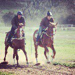 Profile Picture of Russell Healy (@healy_bloodstock) on Instagram