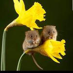 Profile Picture of jerri bufano (@bufanojerri) on Instagram