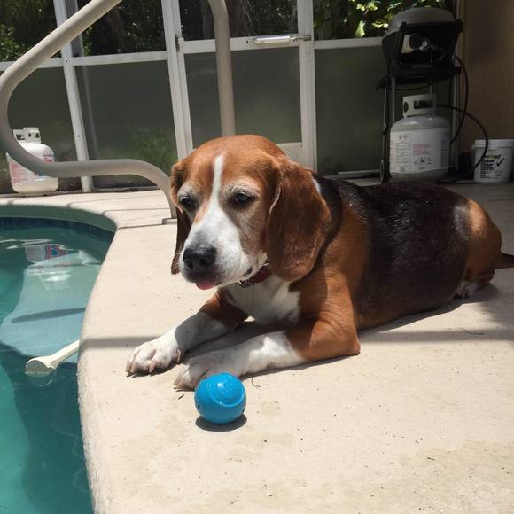 Profile Picture of Kathleen Seubert (@kaseubert123) on Poshmark