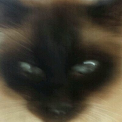 Profile Picture of Marc Gregori (@GregoriMarc) on Twitter