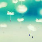 Profile Picture of jessica möbius (@jessicamobius) on Instagram