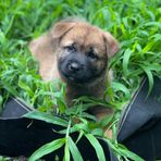 Profile Picture of Christopher Gerhardt (@Christopher-Gerhardt) on Facebook