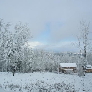 Profile Picture of Alex Nordenson (@179062936) on Myspace