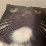 Profile Picture of daniel acebedo (@dvniel.__) on Instagram