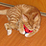 Profile Picture of Brian Perry (@peiperry) on Flickr