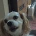 Profile Picture of Jerome Hager (@jerome.hager.988) on Facebook