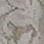 Profile Picture of Linda Howard (@amber_star_98) on Flickr