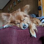 Profile Picture of Codie Jones (@codiej2006) on Instagram