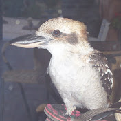 Profile Picture of Bruce Wade (@brucewade5519) on Youtube