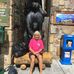 Profile Picture of Alice Seaton (@alice.seaton.50) on Facebook