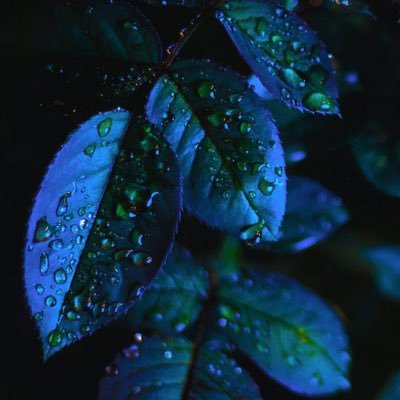 Profile Picture of Jeffrey Maze (@JeffreyMaze2) on Twitter
