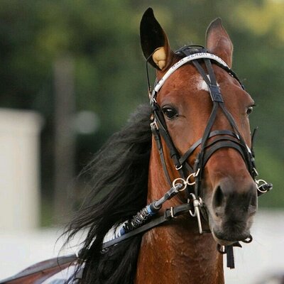 Profile Picture of Dan Renaud (@danrenaud77) on Twitter