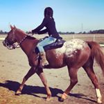 Profile Picture of Kersten Pietrowski (@kplakegirl) on Instagram