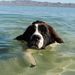 Profile Picture of Randy Brant (@rbrant68) on Pinterest
