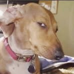 Profile Picture of Kevin Bizzell (@Kevin-Bizzell) on Facebook