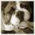 Profile Picture of Amy And James Kirby (@kirbykrew) on Flickr