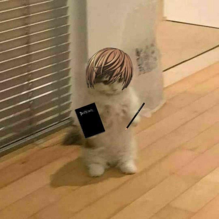 Profile Picture of Peter Ramasco (@ifolloweveryoneisee_fr) on Tiktok