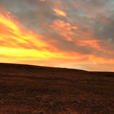 Profile Picture of Kyle Yount (@freezerman79) on Twitter
