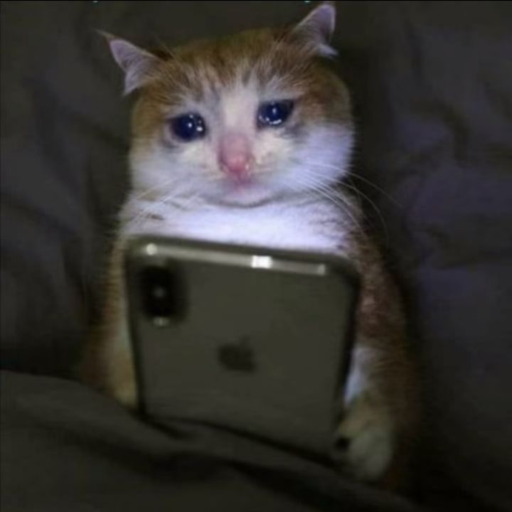 Profile Picture of lily (@lilyholthaus) on Tiktok