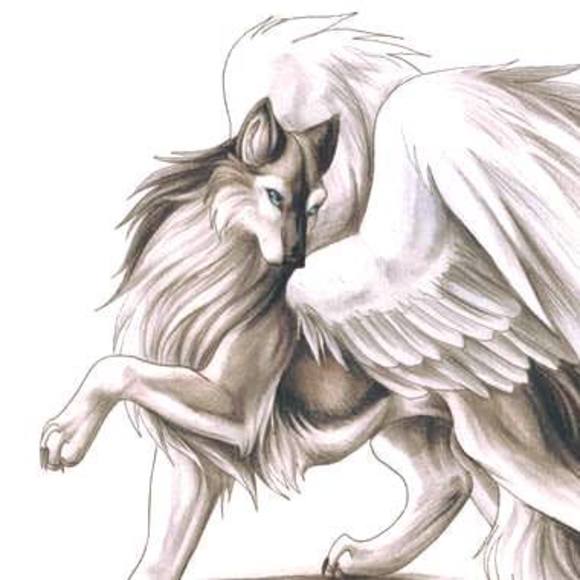 Profile Picture of Yuuki Sohma (@yuukisohma) on Poshmark