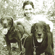 Profile Picture of Heidi Pritchett (@heidipritchett1664) on Youtube