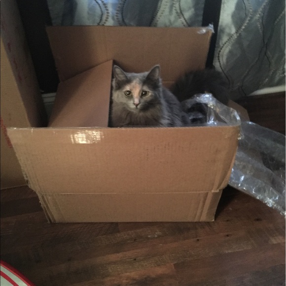 Georgiana Syx - Poshmark Profile Picture of Georgiana Syx (@gsyx) on Poshmark