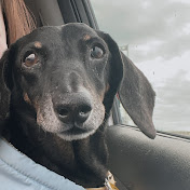 Profile Picture of YU-CHIA HUANG (@yu-chiahuang2494) on Youtube