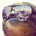Profile Picture of Anders Saulic (@anderssaulic) on Pinterest